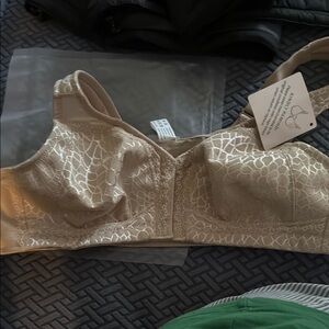 Elegant Lace Beige Bra